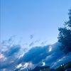 lucinda_cook